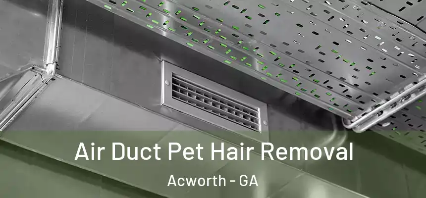  Air Duct Pet Hair Removal Acworth - GA