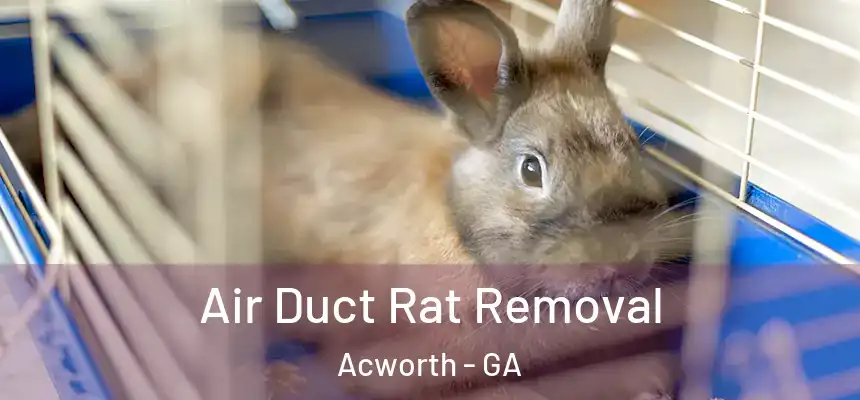  Air Duct Rat Removal Acworth - GA