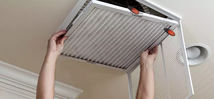 Preventive Cockroach-Proofing for Ducts in Acworth