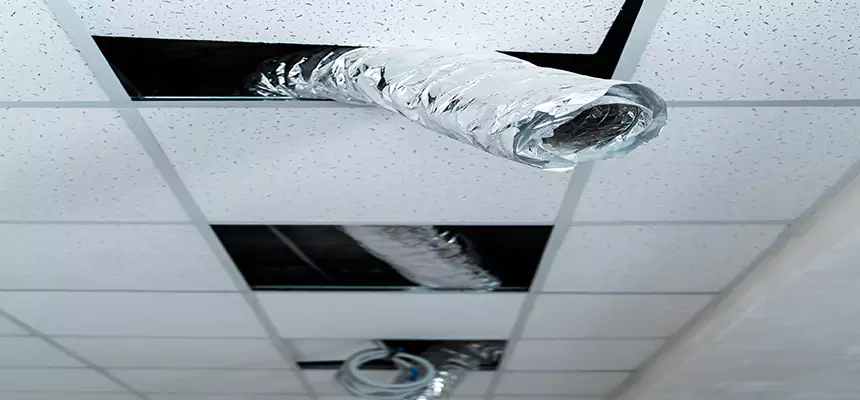 Affordable HVAC Sanitizing After Pest Removal in Acworth