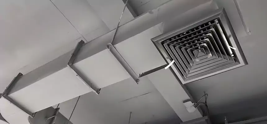 Restorative Allergy Relief Vent Cleaning – Coil, Blower & Housing Detail in Acworth