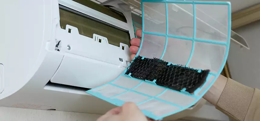 Gentle Ductwork Odor-Control Pet Dander Duct Cleaning in Acworth, GA