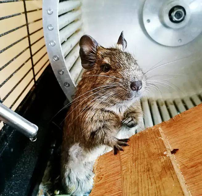 Why Homeowners & Businesses Trust Us Acworth, GA?