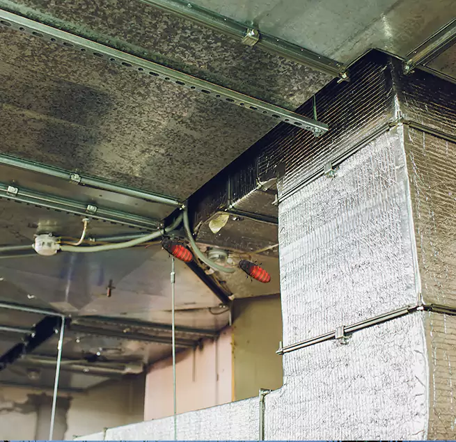 Why Homeowners & Businesses Trust Us Acworth, GA?